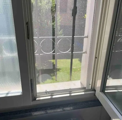 Cucchiari 2 Tipo * Modena